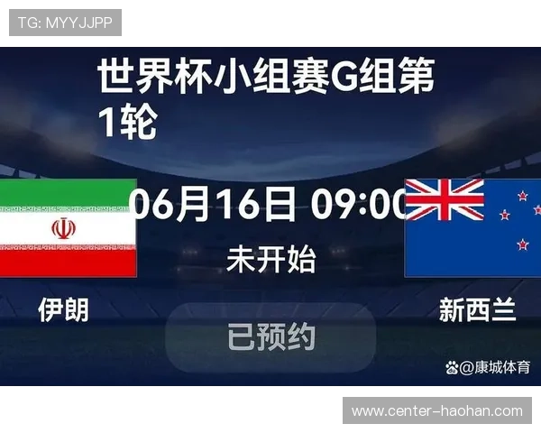 世界杯伊朗对阵新西兰比赛场地详细介绍与赛前分析